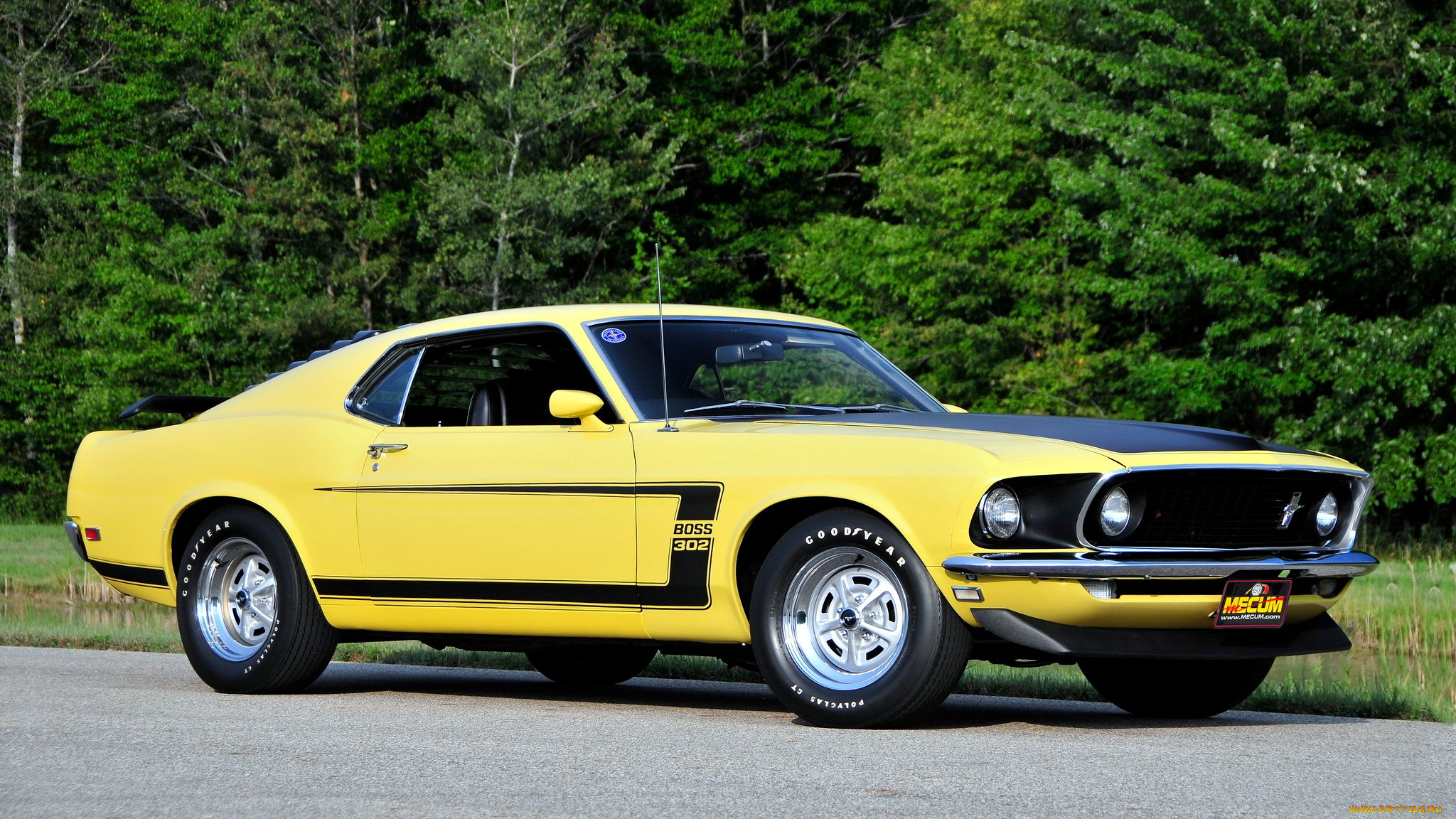mustang, , ford, motor, company, 